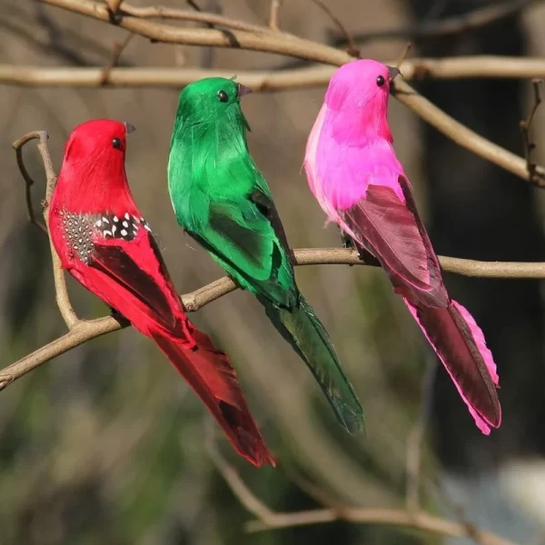 מבחר ציפורי שיר דקורטיביות ליופי לגינה.